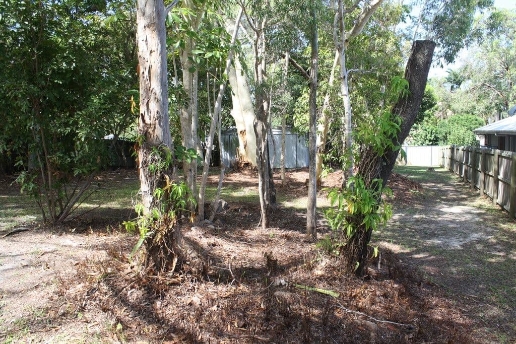 9 Tanah Street, Mount Coolum QLD 4573, Mount Coolum - Thumbnail 5