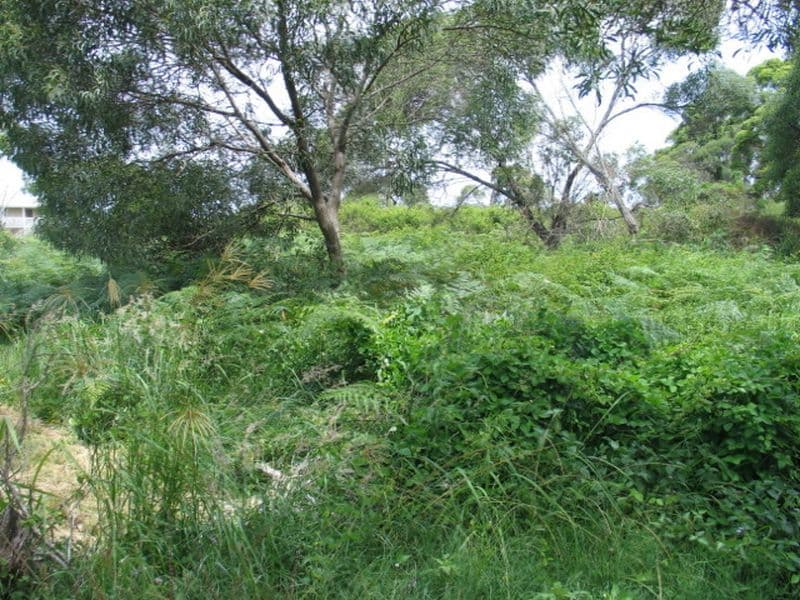 11 Camellia Street, RUSSELL ISLAND QLD 4184, Russell Island - Thumbnail 2