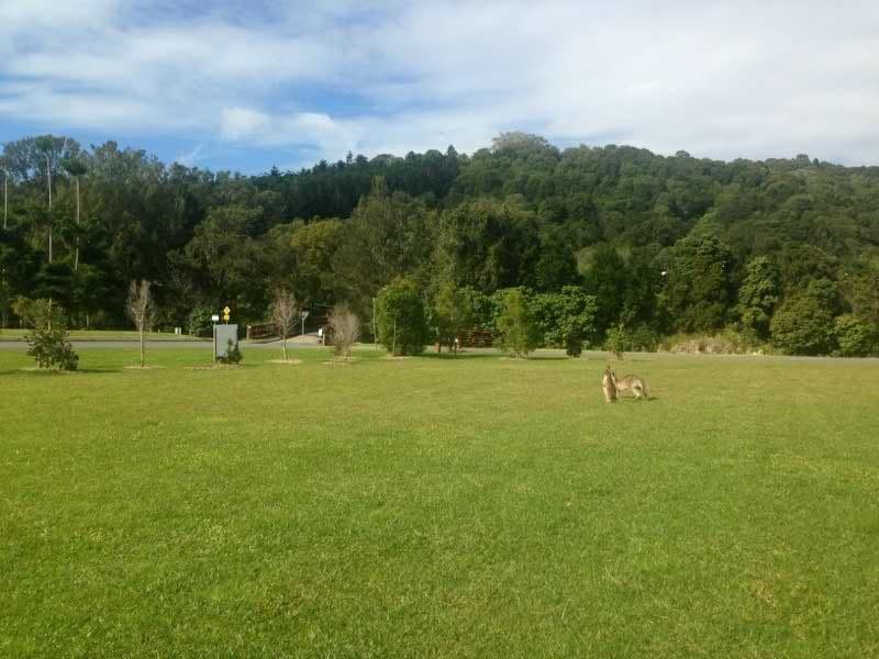 1 Coolamon View, CURRUMBIN VALLEY QLD 4223, Currumbin Valley - Image 1