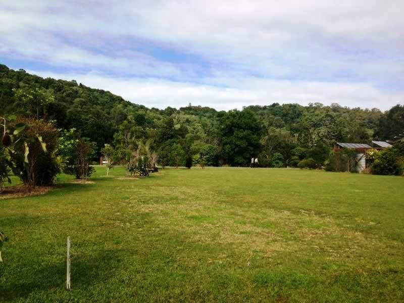 1 Coolamon View, CURRUMBIN VALLEY QLD 4223, Currumbin Valley - Thumbnail 2