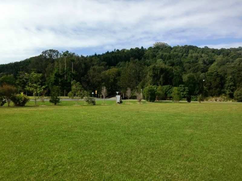 1 Coolamon View, CURRUMBIN VALLEY QLD 4223, Currumbin Valley - Thumbnail 4