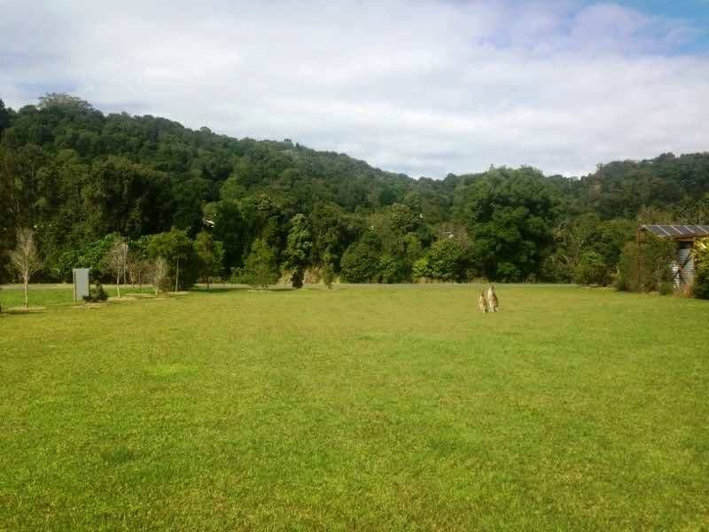 1 Coolamon View, CURRUMBIN VALLEY QLD 4223, Currumbin Valley - Thumbnail 6