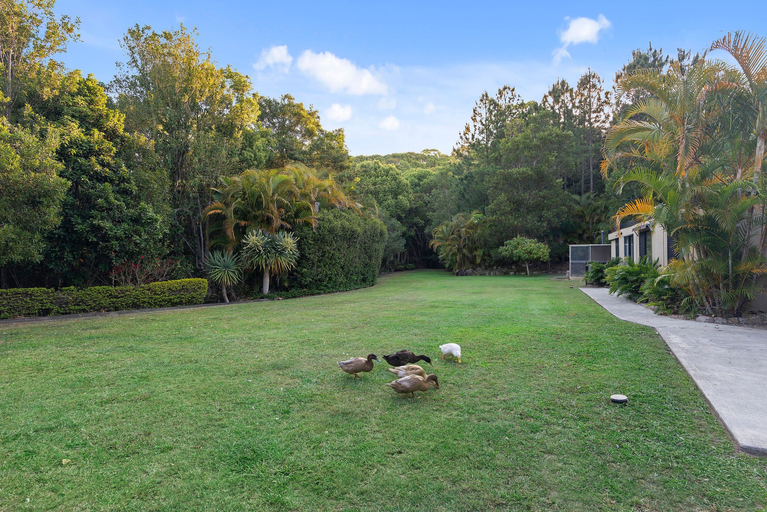 37 Fordyce Close, Currumbin Valley QLD 4223, Currumbin Valley - Thumbnail 3
