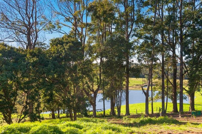 Lot 5 5 Azalea Court, Maleny QLD 4552, Maleny - Thumbnail 2