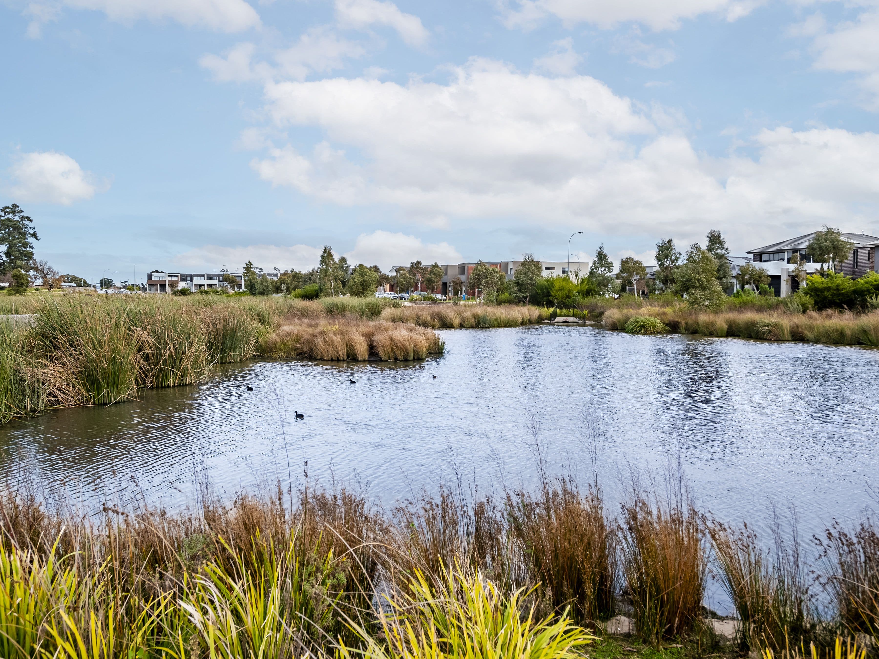 37 Bottletree Road, Botanic Ridge VIC 3977, Botanic Ridge - Thumbnail 2