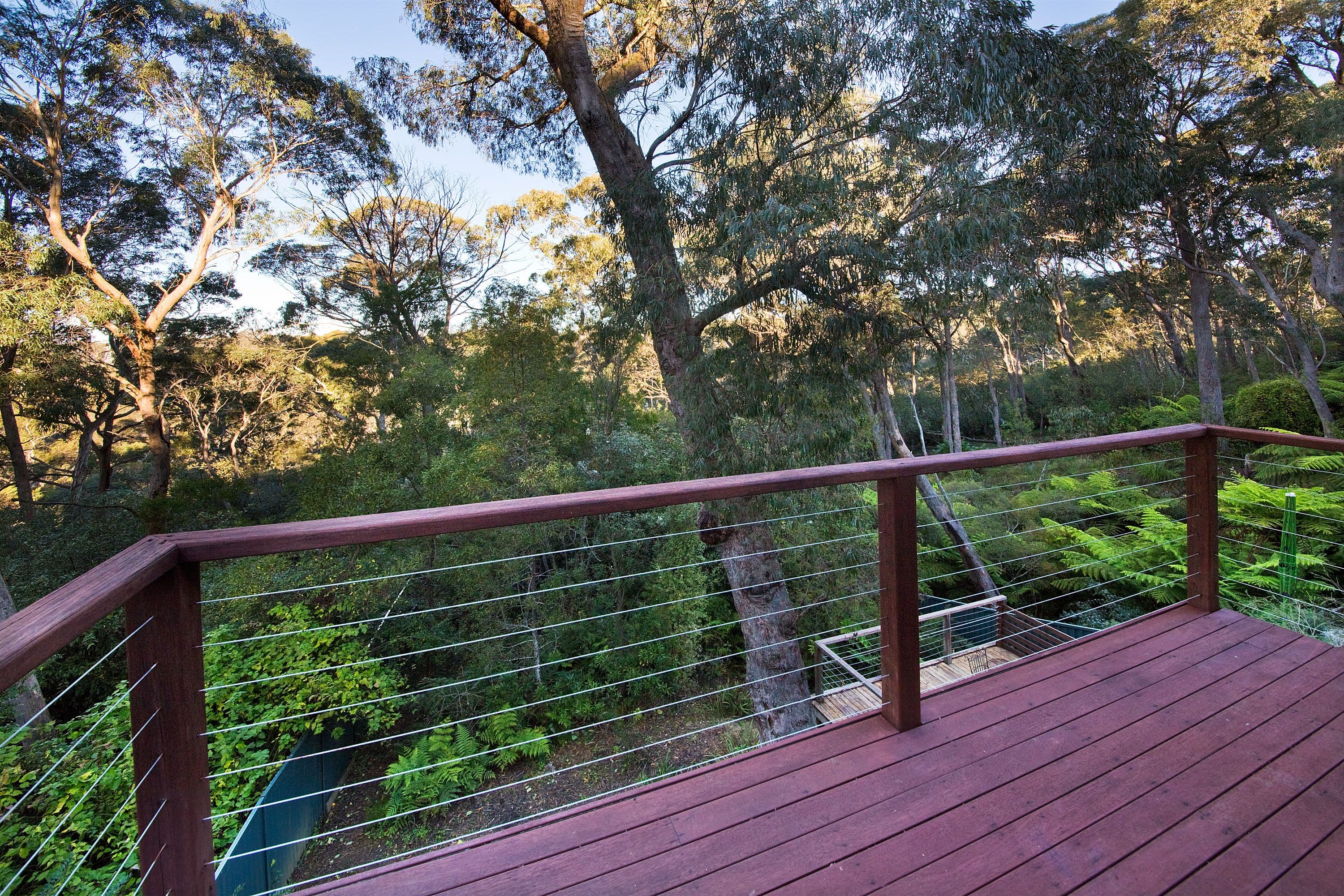 31 Rodriguez Avenue, Blackheath - Thumbnail 6