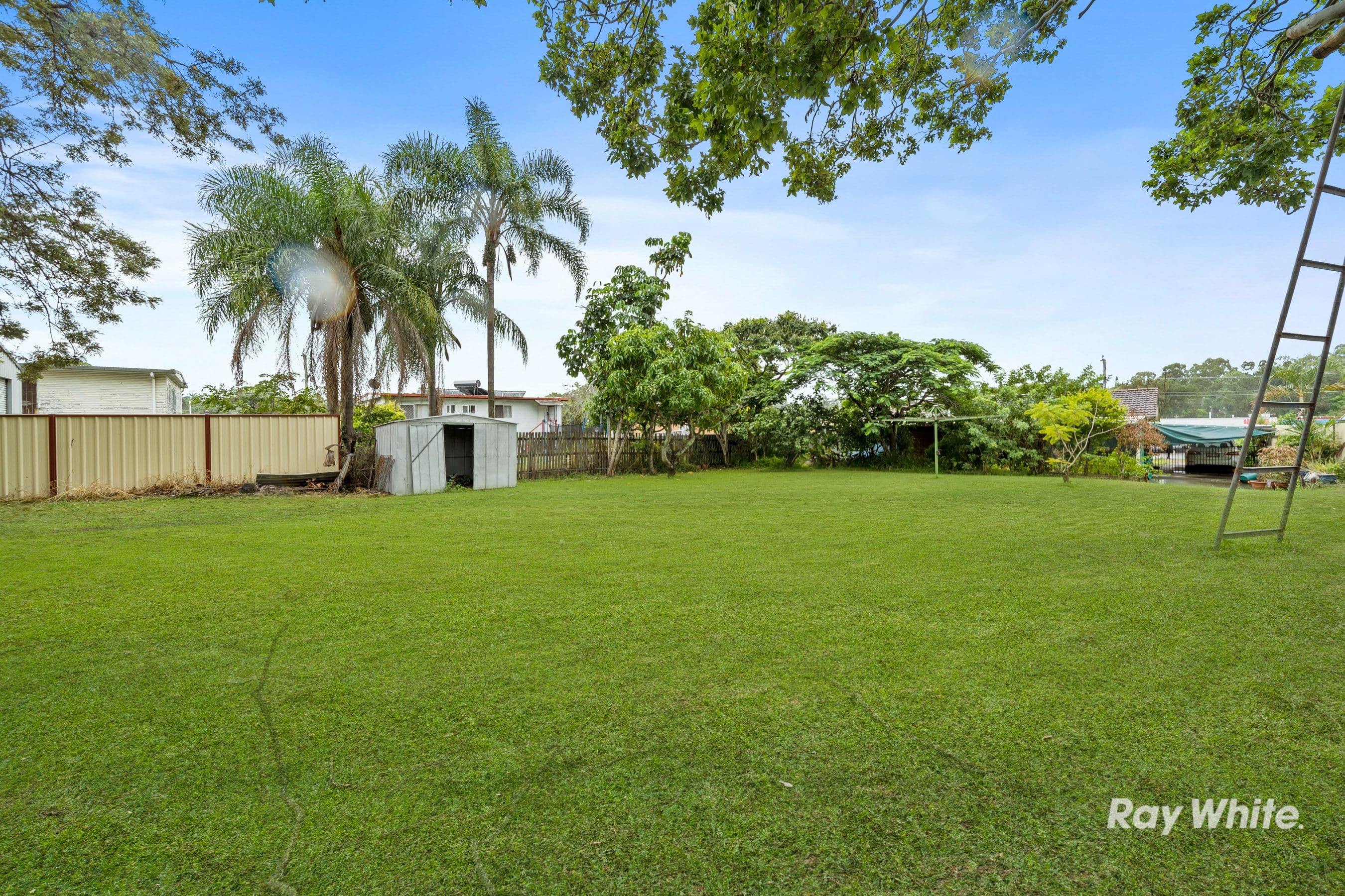 131 Jacaranda Avenue, Kingston QLD 4114, Kingston - Thumbnail 7