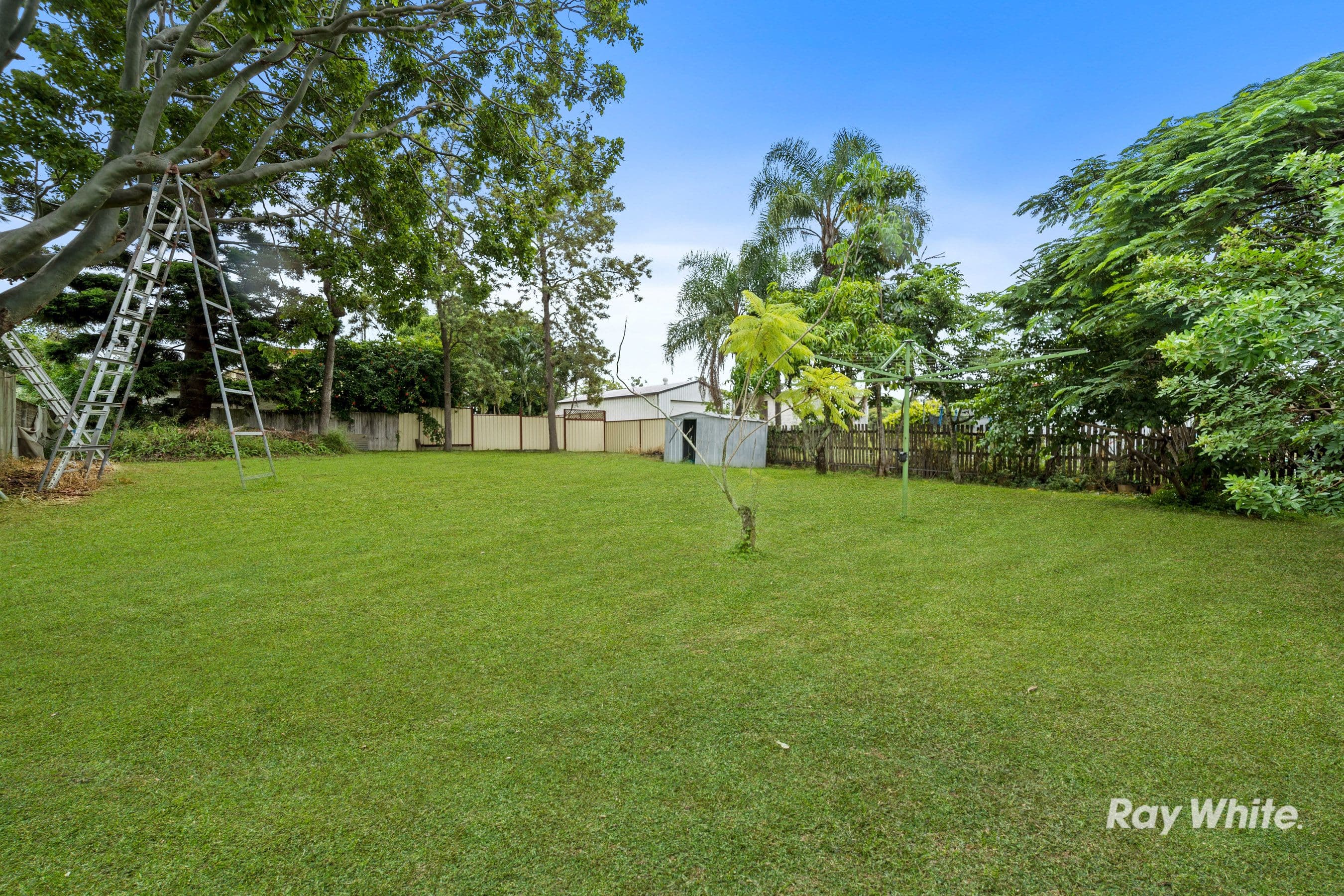 131 Jacaranda Avenue, Kingston QLD 4114, Kingston - Thumbnail 8