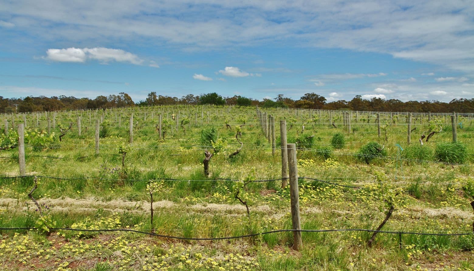 18 Pink Cliffs Road, Heathcote VIC 3523, Heathcote - Thumbnail 7