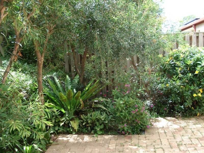 5 Inland Drive, Tugun QLD 4224, Tugun - Thumbnail 8