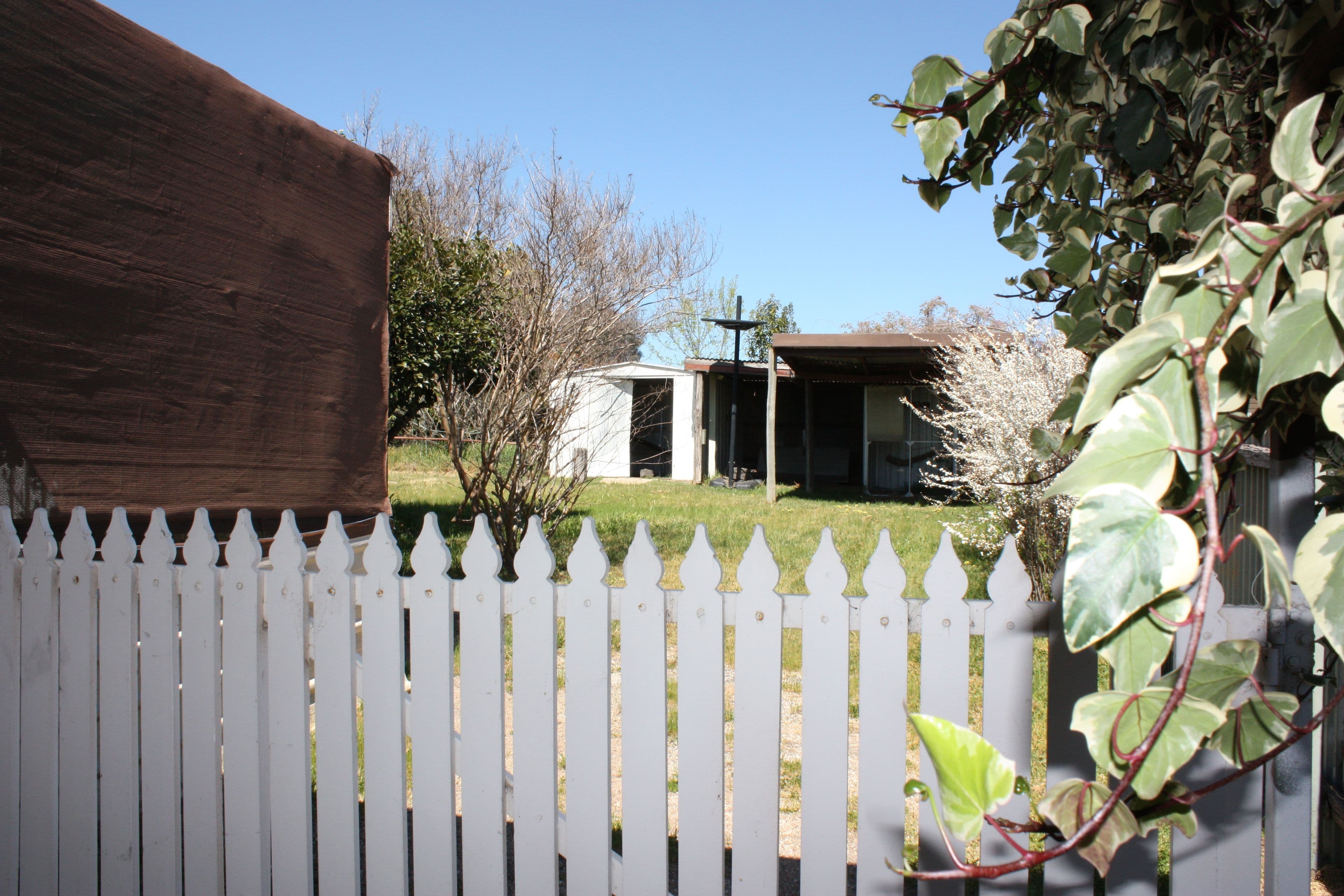 3 Dennison Street, Wahgunyah VIC 3687, Wahgunyah - Thumbnail 8