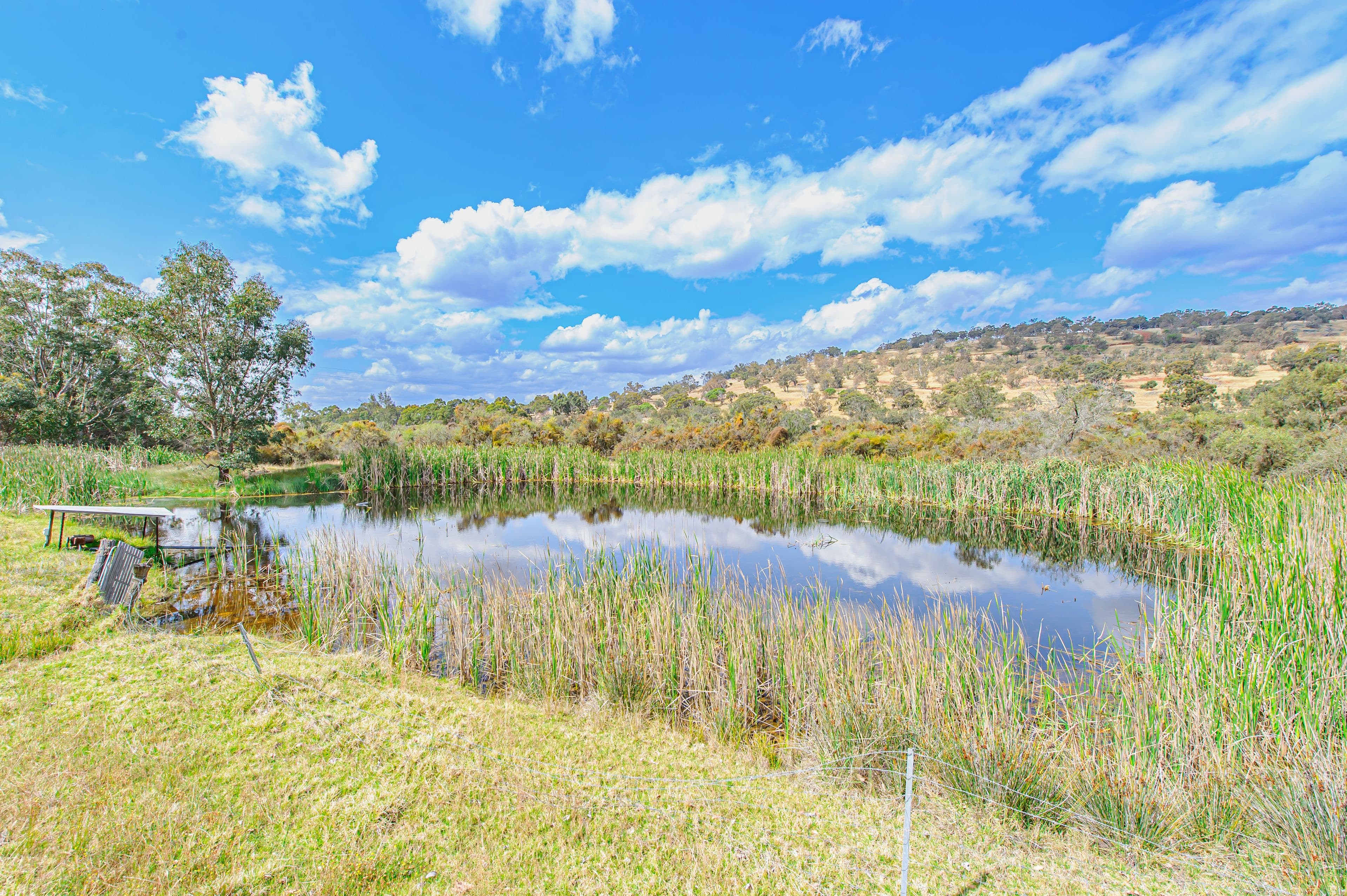 221 Pines Road, Wannamal WA 6505, Wannamal - Image 1