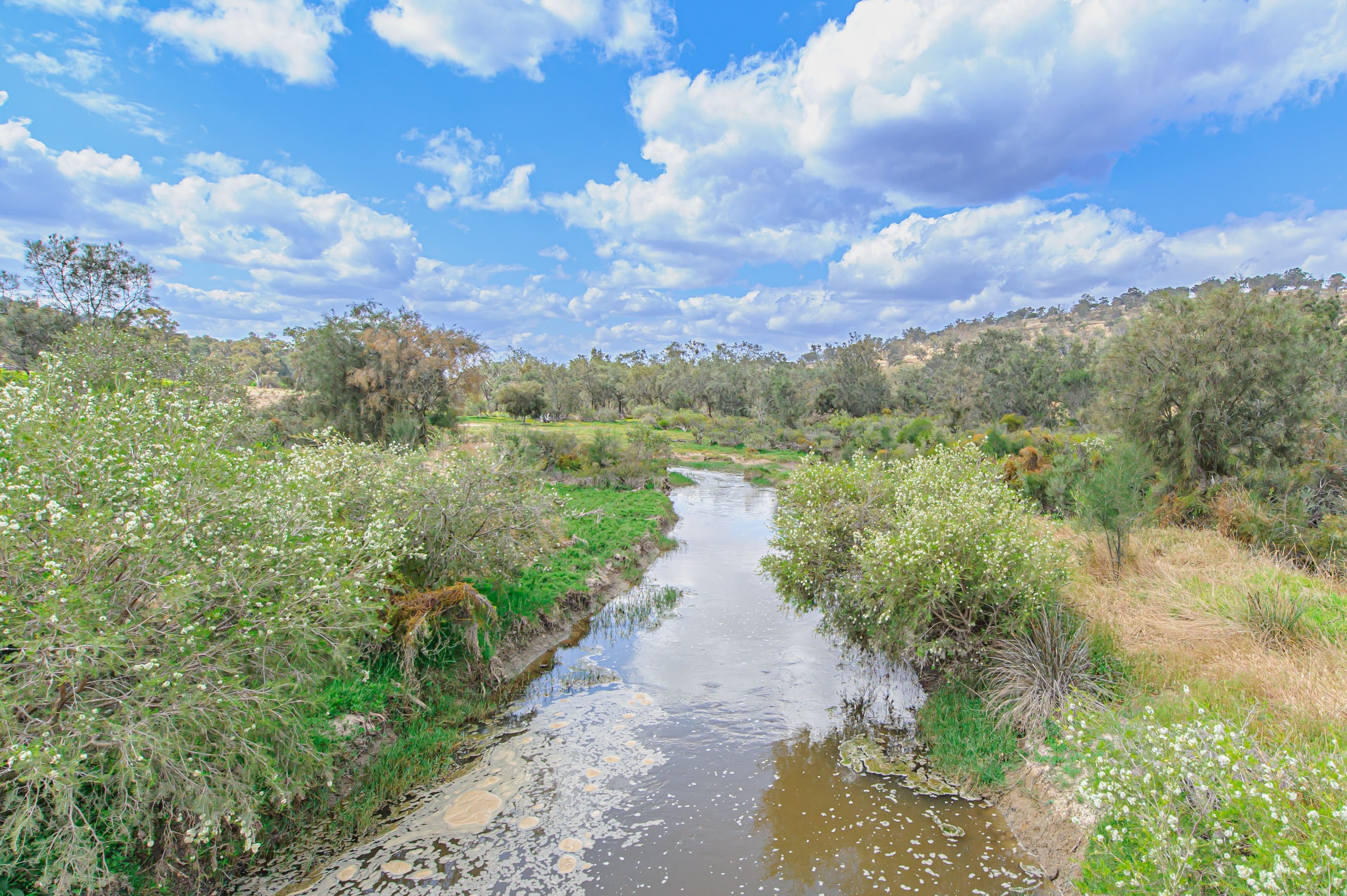 221 Pines Road, Wannamal WA 6505, Wannamal - Thumbnail 2