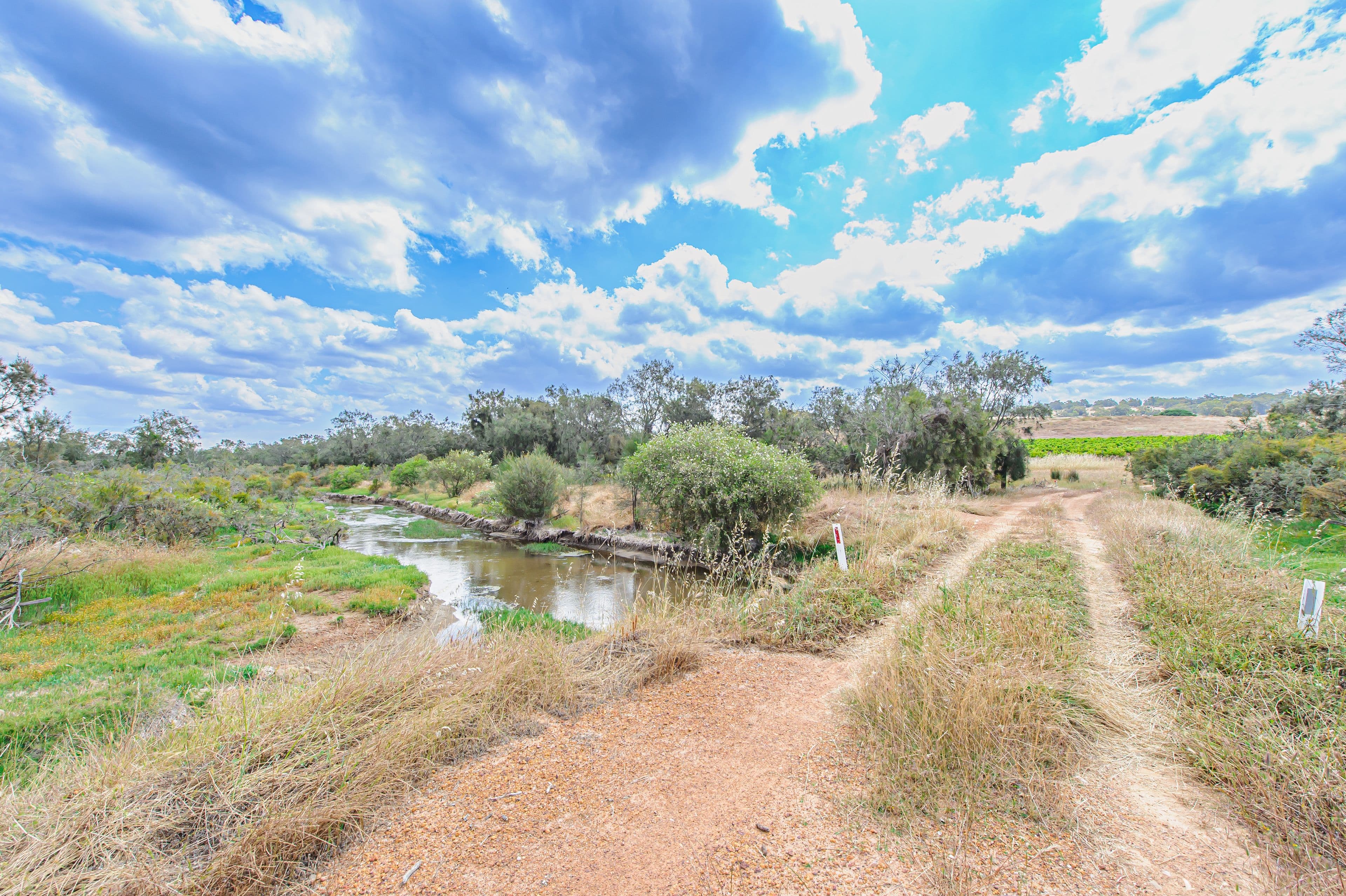 221 Pines Road, Wannamal WA 6505, Wannamal - Thumbnail 3