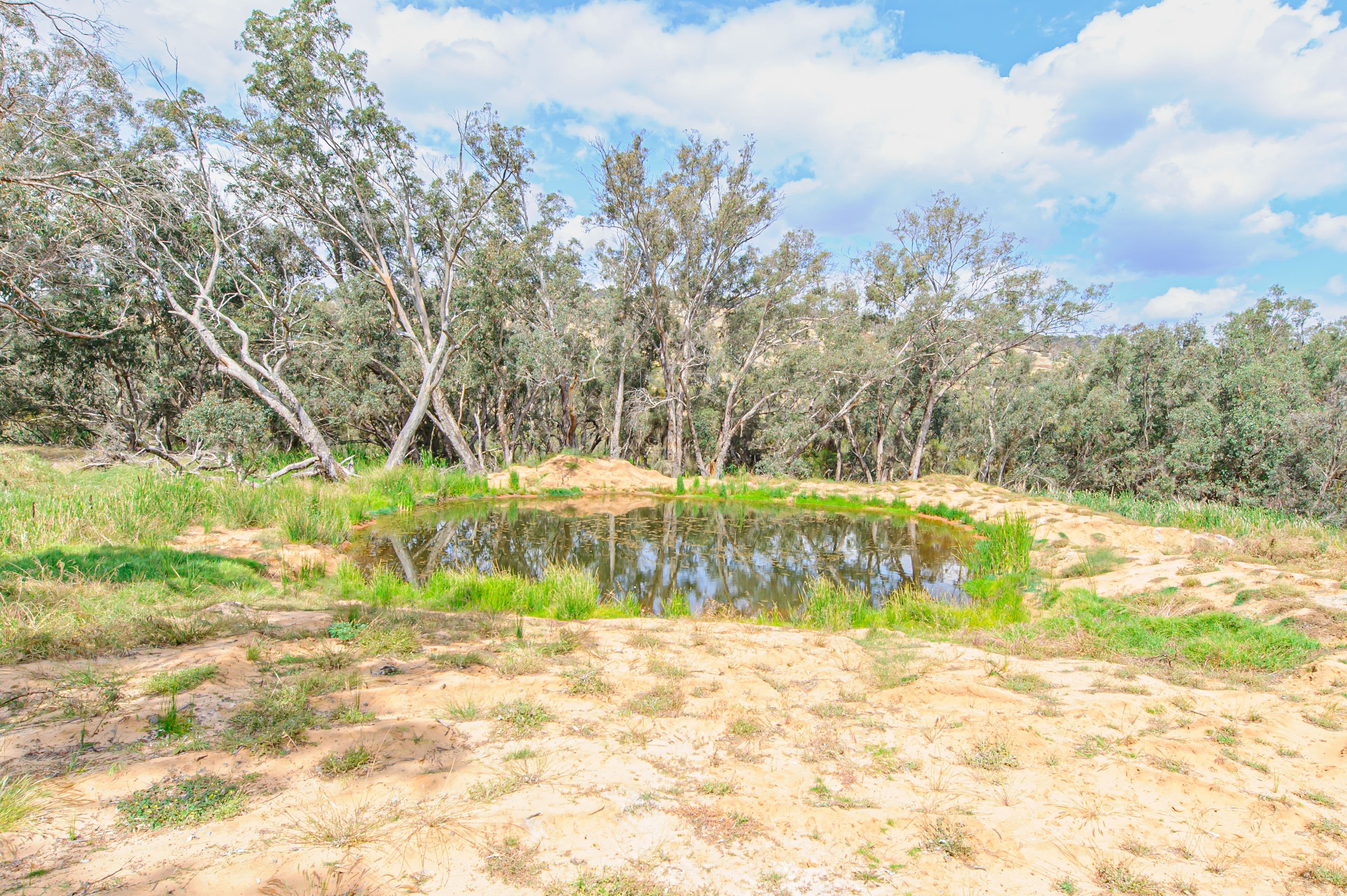 221 Pines Road, Wannamal WA 6505, Wannamal - Thumbnail 4