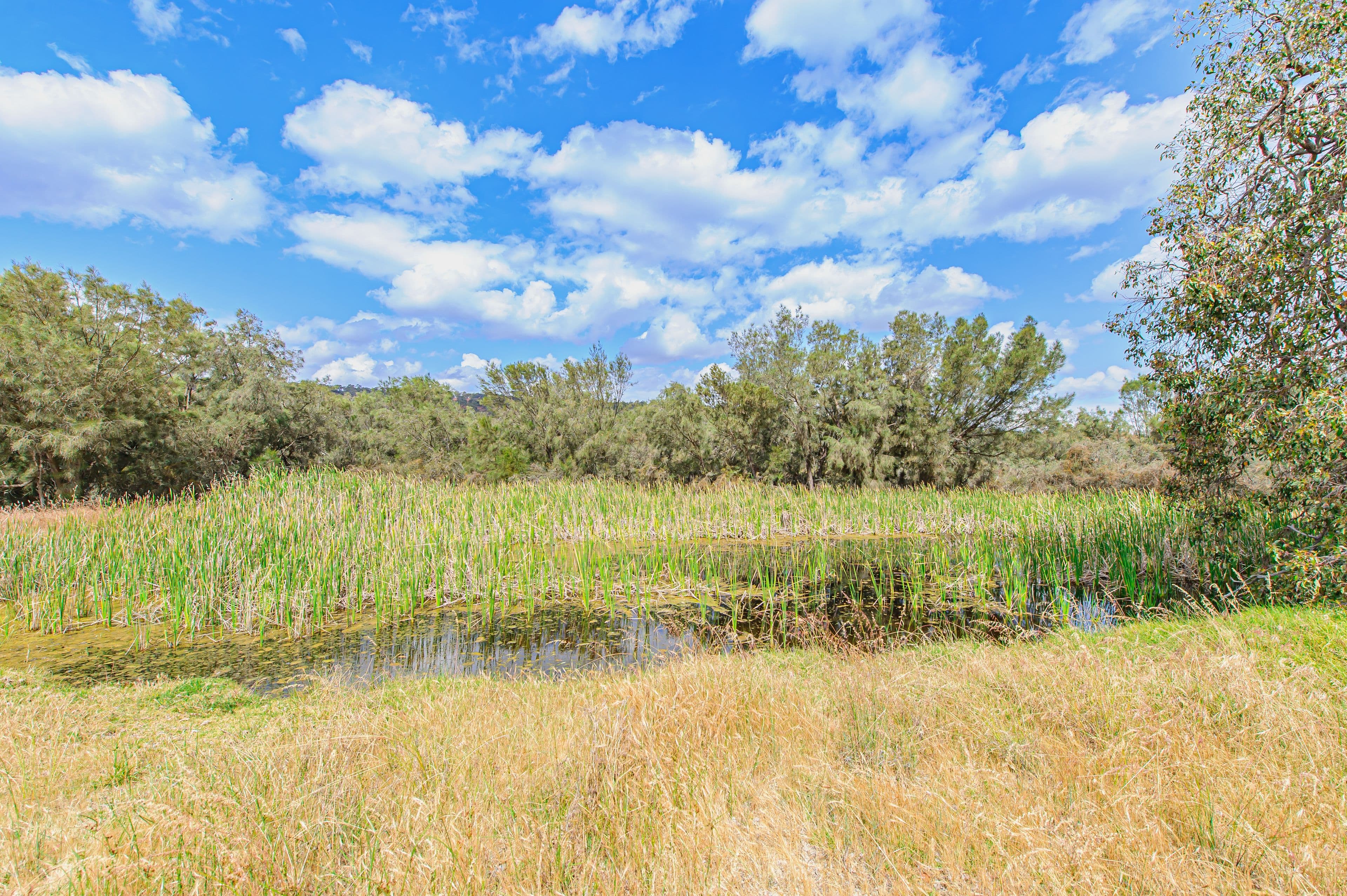 221 Pines Road, Wannamal WA 6505, Wannamal - Thumbnail 5