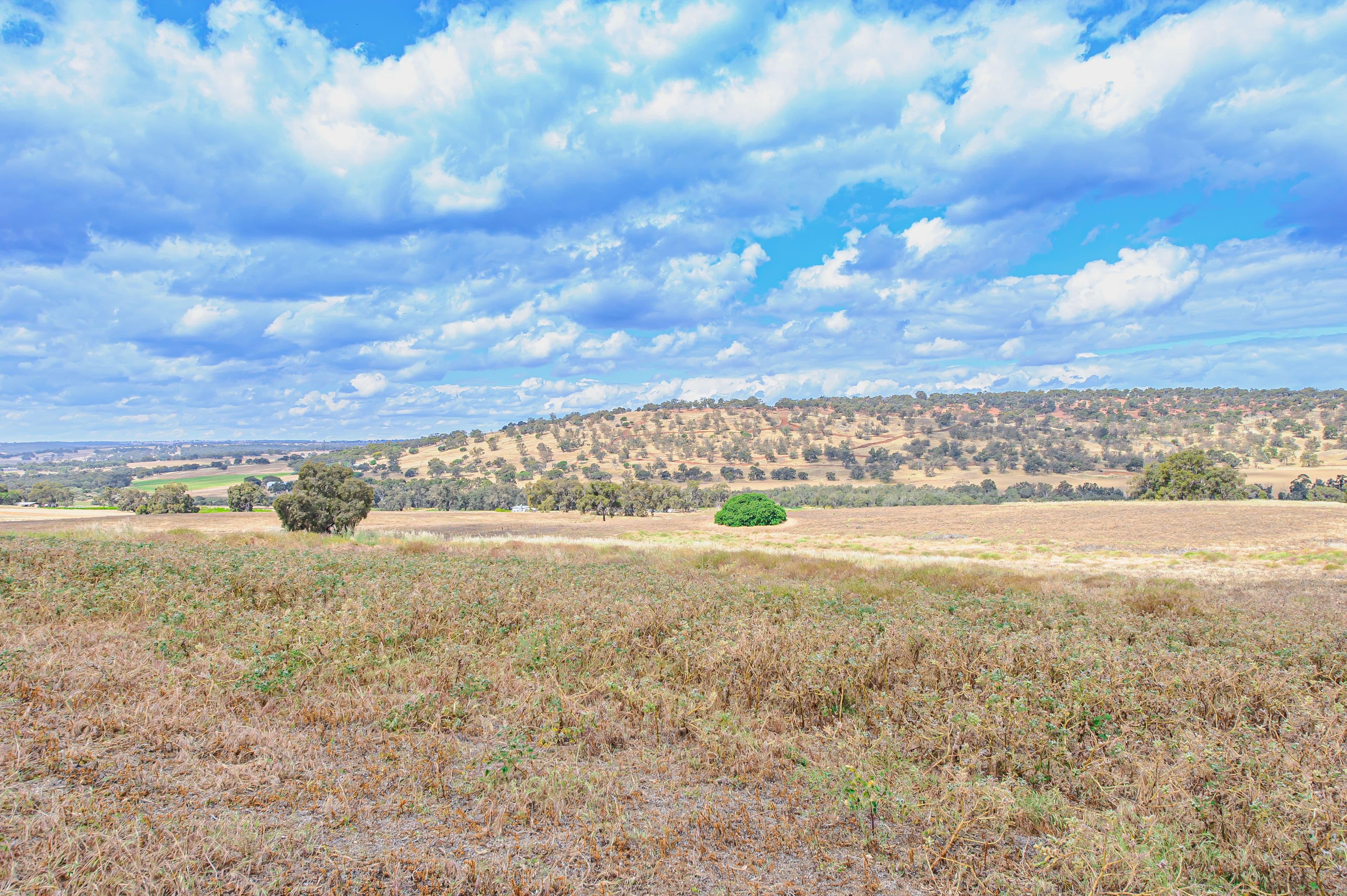 221 Pines Road, Wannamal WA 6505, Wannamal - Thumbnail 8