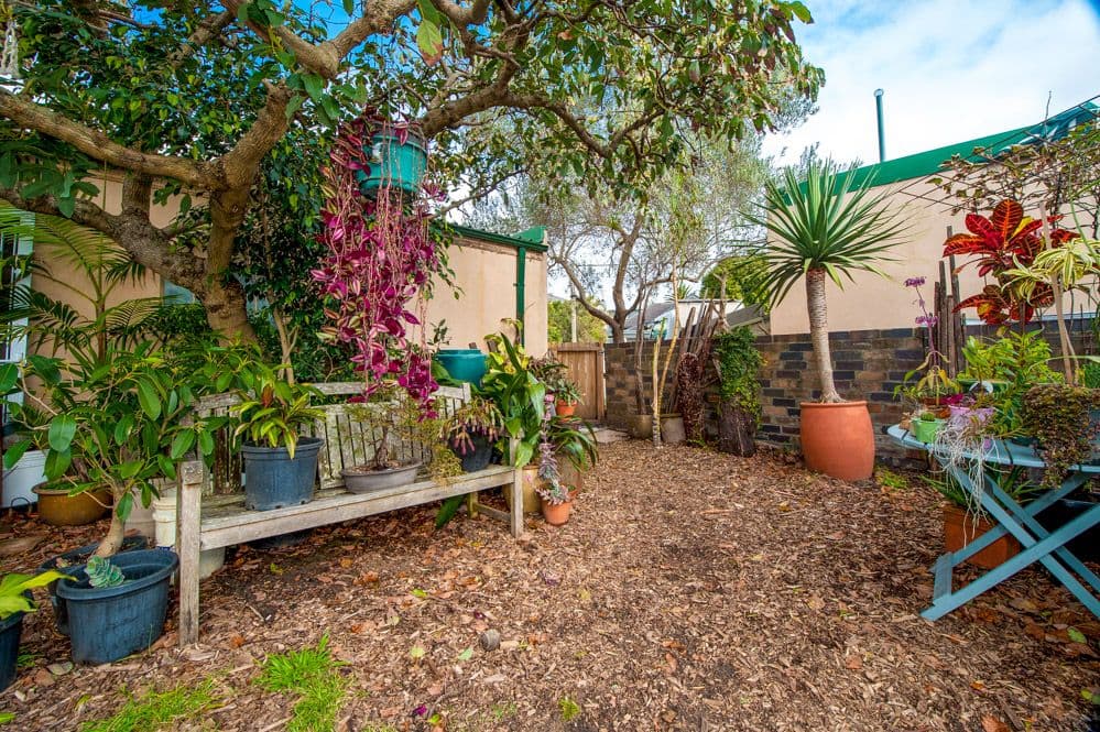 10 Lenthall Street, KENSINGTON NSW 2033, Kensington - Thumbnail 6