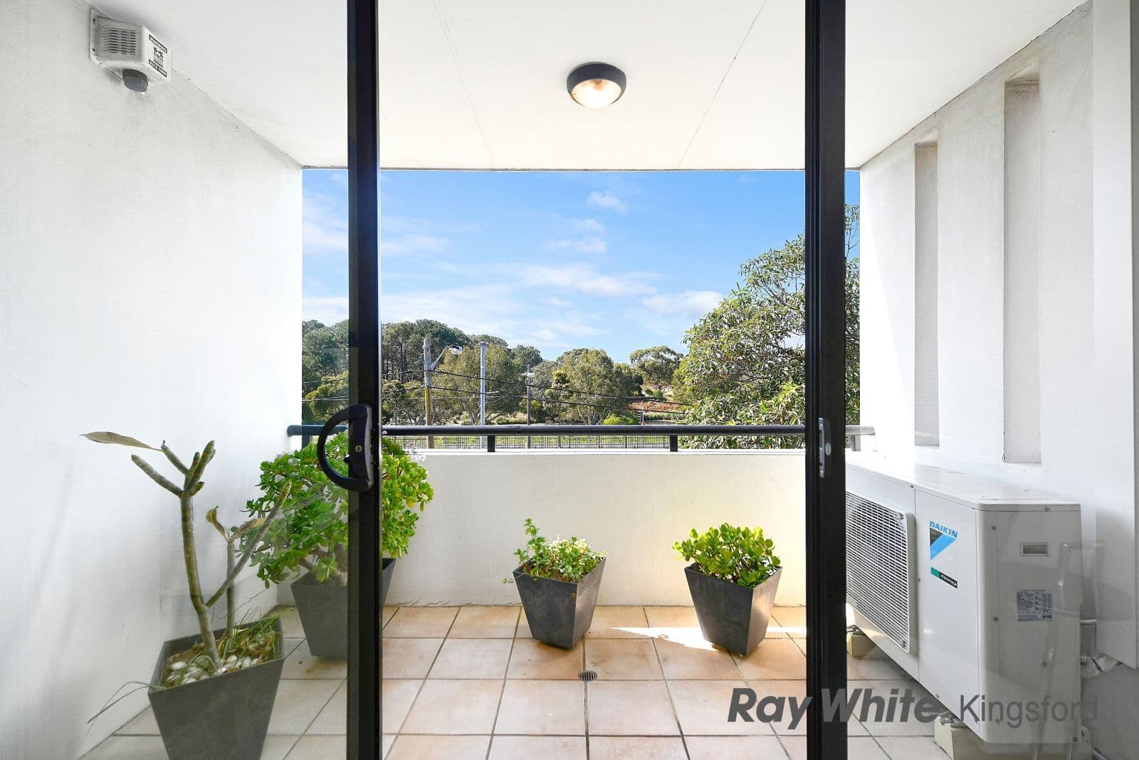 17-19 Alison Road, Kensington NSW 2033, Kensington - Thumbnail 4