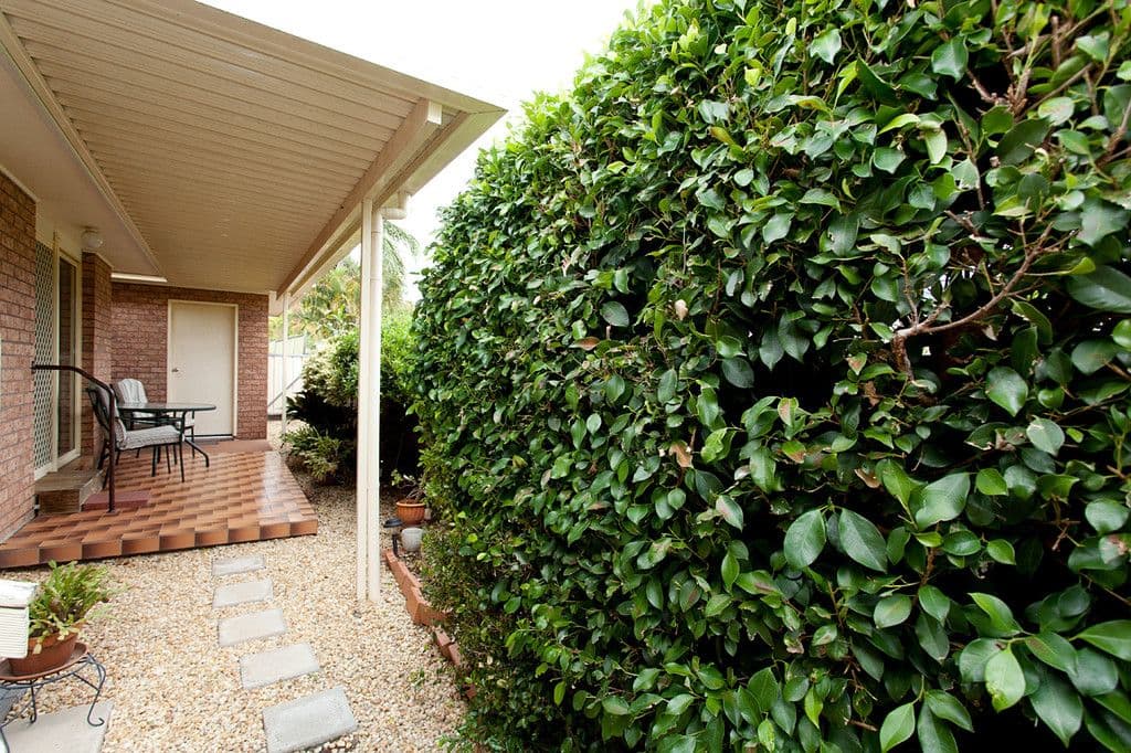 24 Plover Street, Taree NSW 2430, Taree - Thumbnail 7