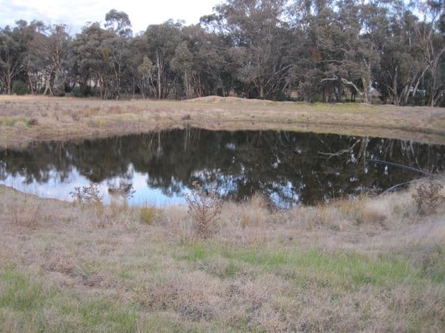 38 Fowler Street, MONTEAGLE NSW 2594, Monteagle - Thumbnail 4