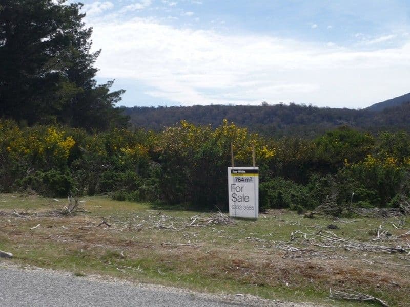 17 Walter Street, ROSSARDEN TAS 7213, Rossarden - Image 1