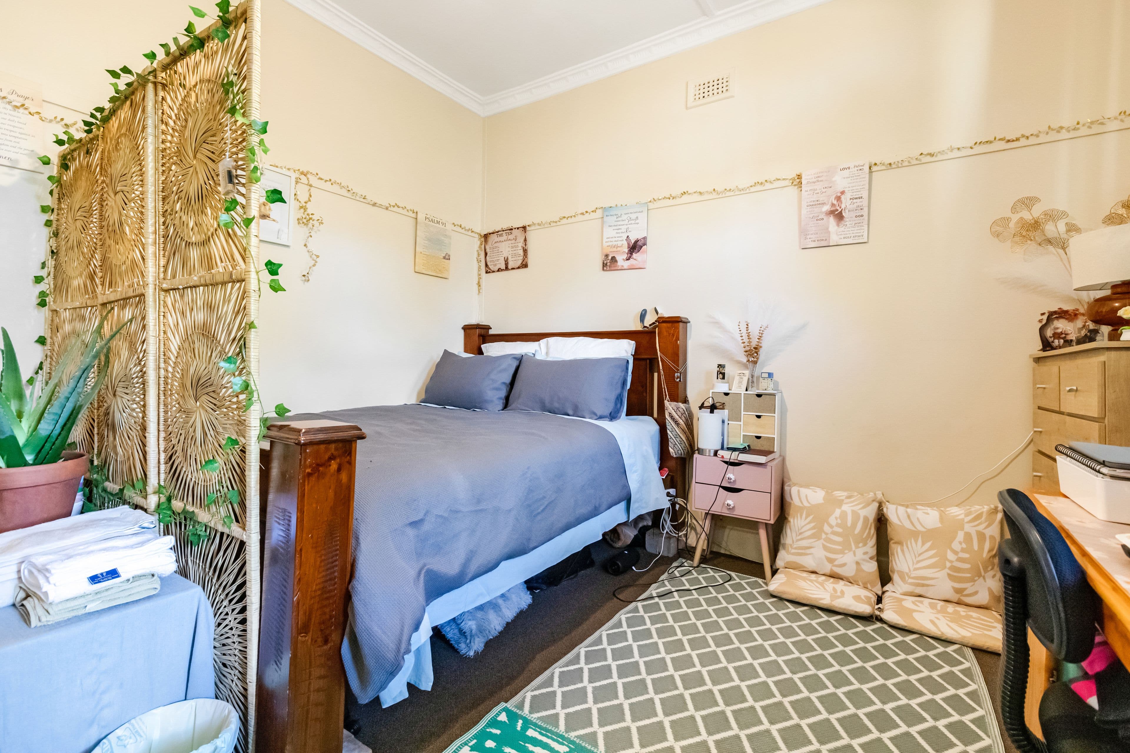 113 Twelfth Street, Mildura VIC 3500, Mildura - Thumbnail 6
