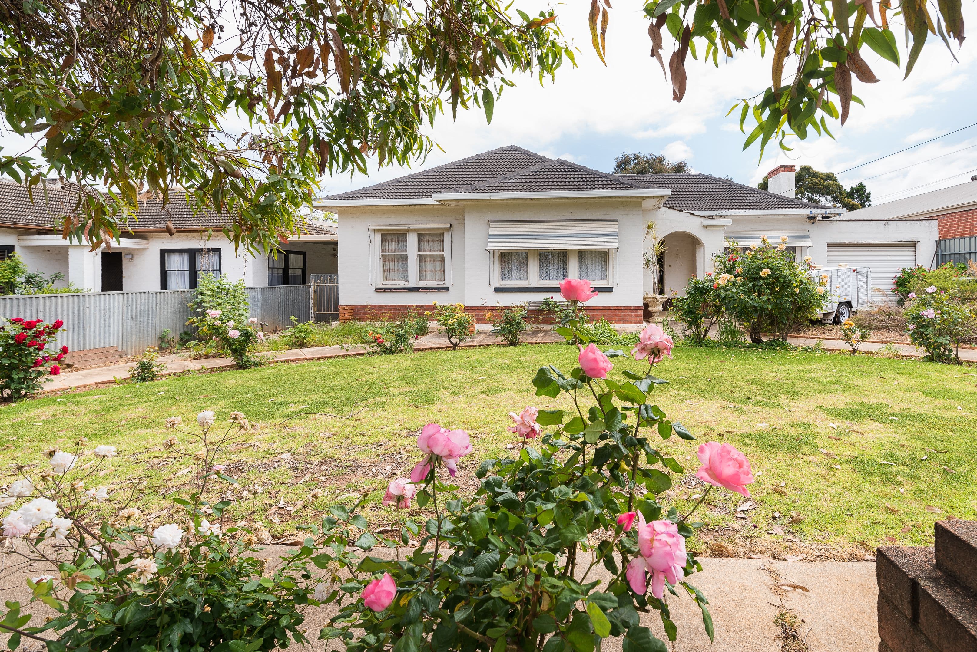 12 Dudley Avenue, Daw Park SA 5041, Daw Park - Image 1