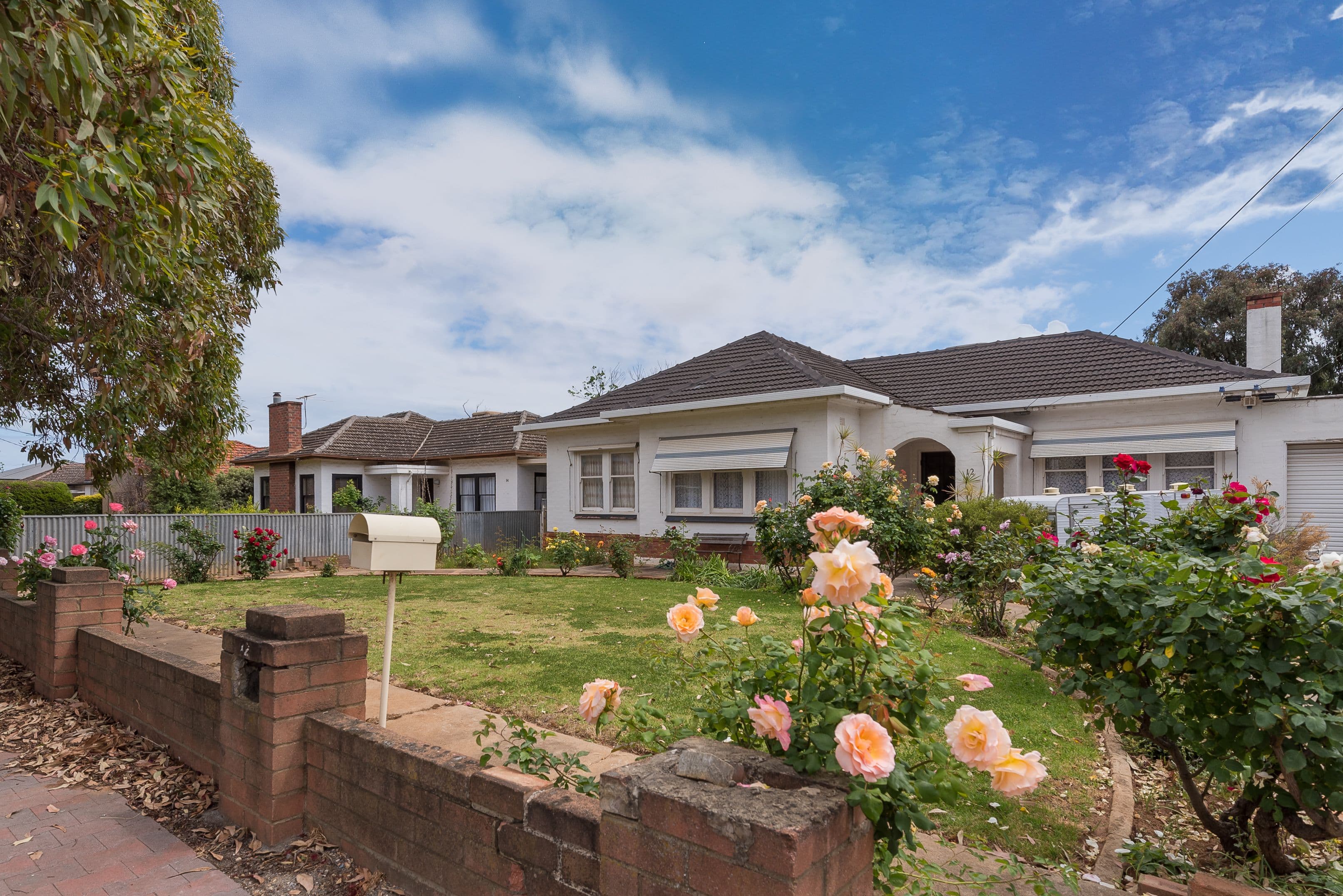12 Dudley Avenue, Daw Park SA 5041, Daw Park - Thumbnail 2