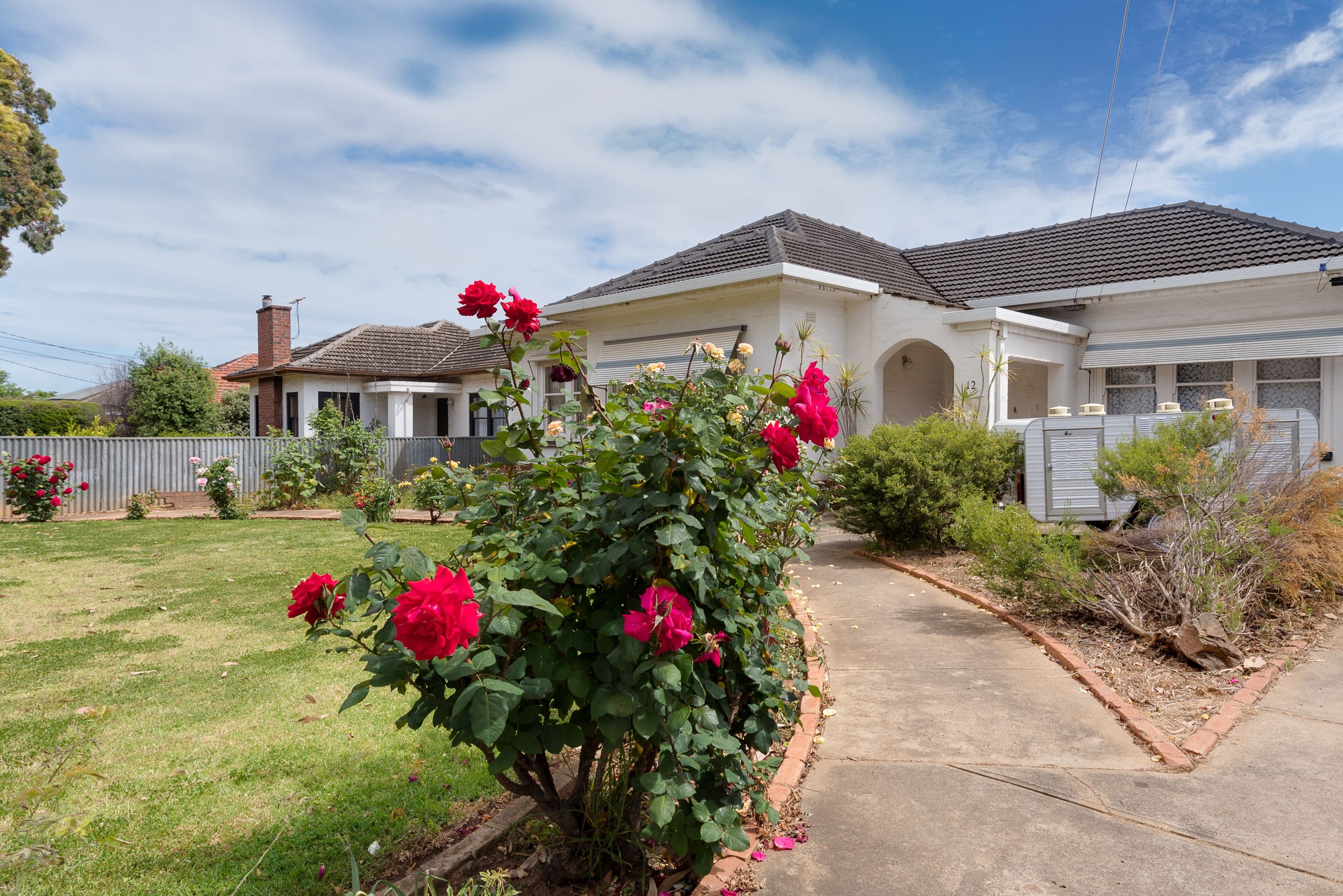 12 Dudley Avenue, Daw Park SA 5041, Daw Park - Thumbnail 3