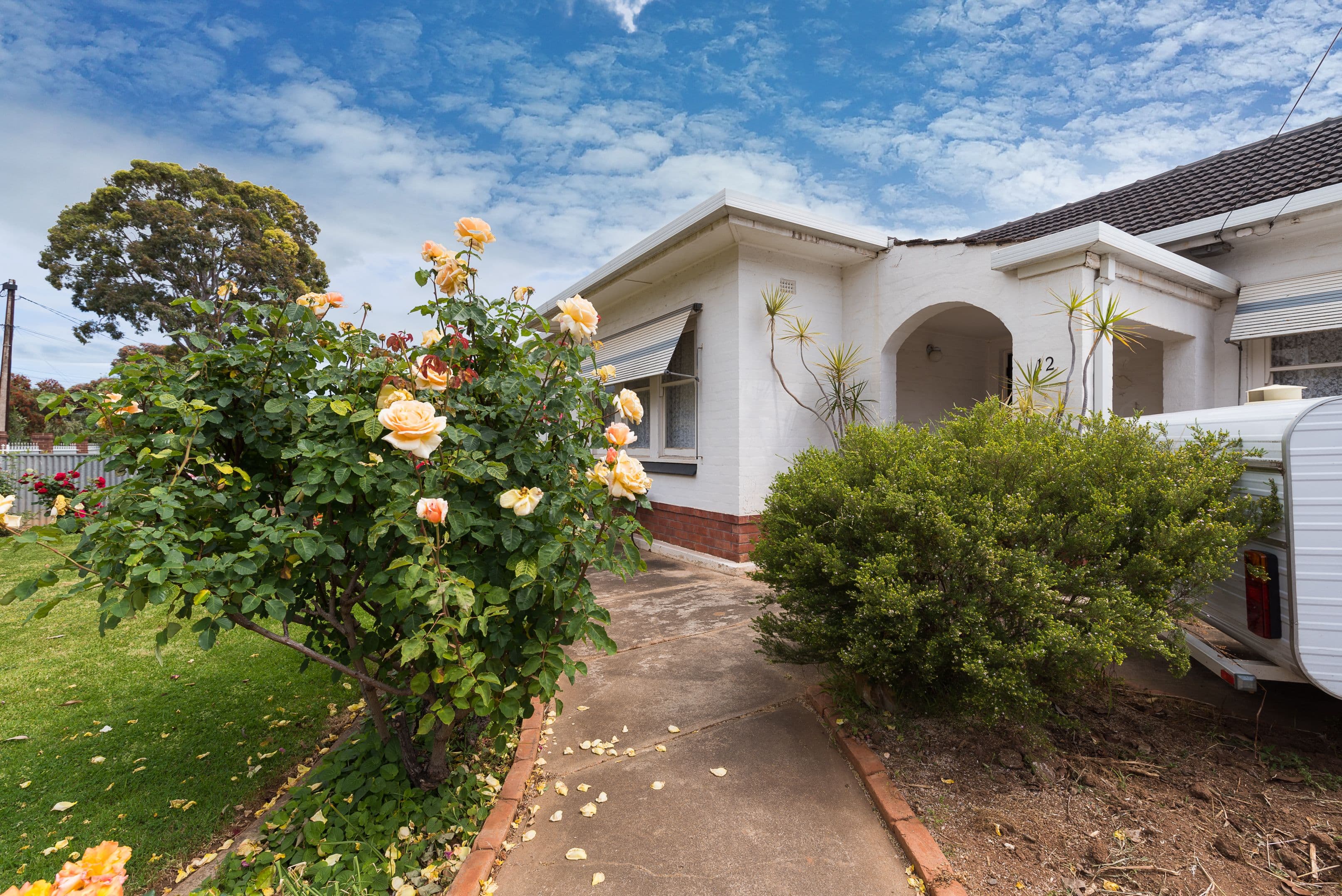 12 Dudley Avenue, Daw Park SA 5041, Daw Park - Thumbnail 4