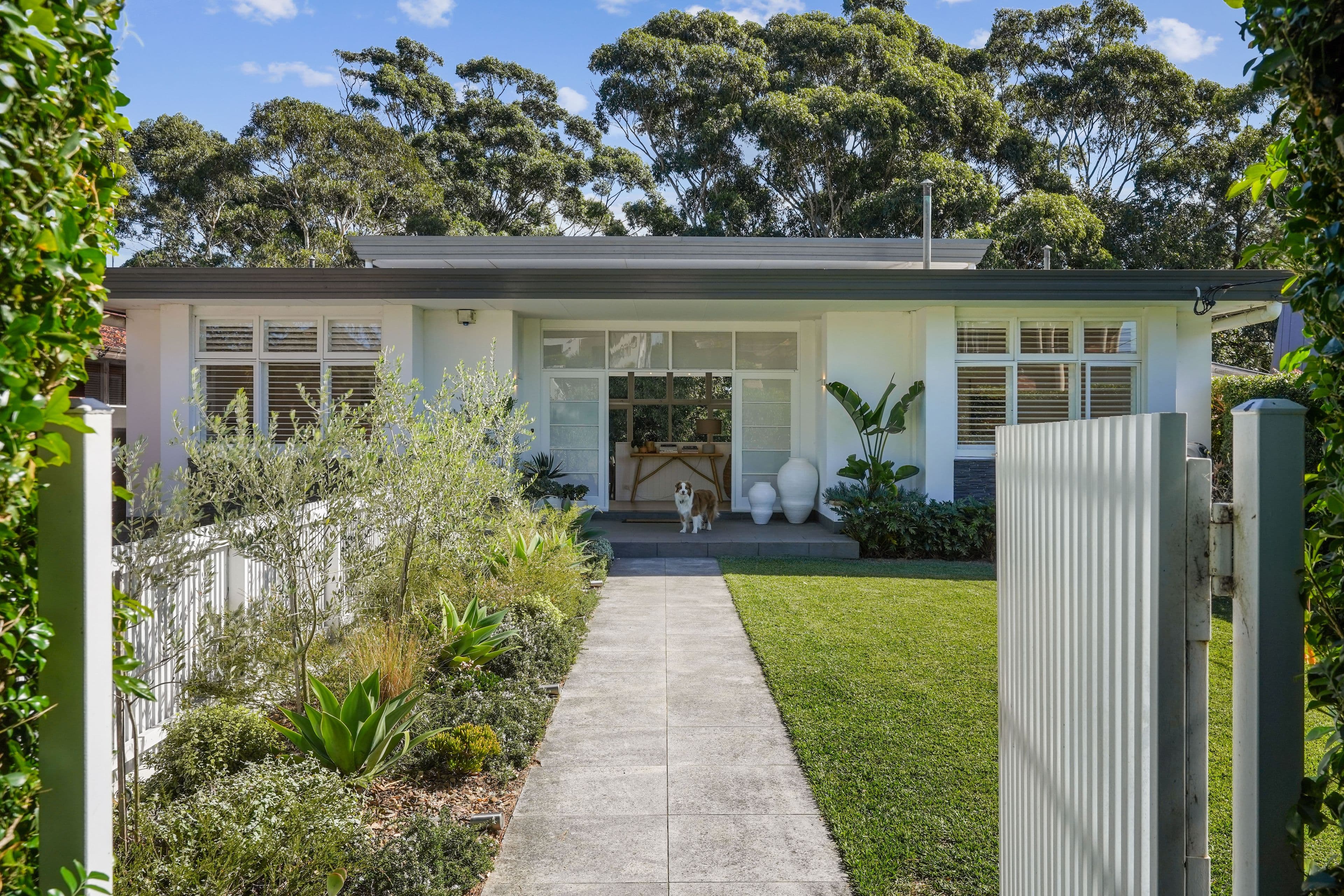 98 Tunstall Avenue, Kingsford NSW 2032, Kingsford - Image 1