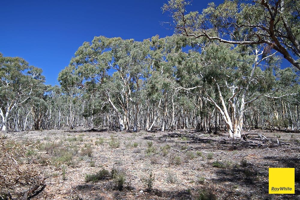 200 Neils Creek Road, Bungendore NSW 2621, Bungendore - Thumbnail 2