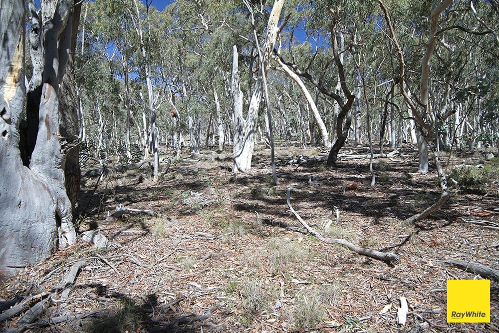 200 Neils Creek Road, Bungendore NSW 2621, Bungendore - Thumbnail 3