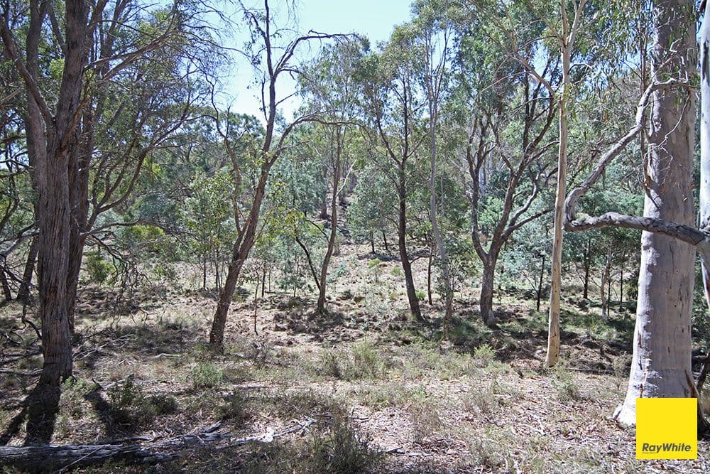 200 Neils Creek Road, Bungendore NSW 2621, Bungendore - Thumbnail 5