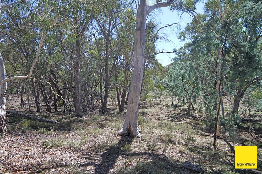 200 Neils Creek Road, Bungendore NSW 2621, Bungendore - Thumbnail 6