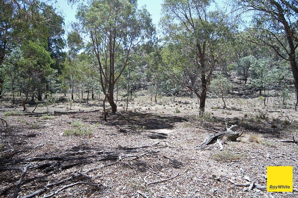 200 Neils Creek Road, Bungendore NSW 2621, Bungendore - Thumbnail 7