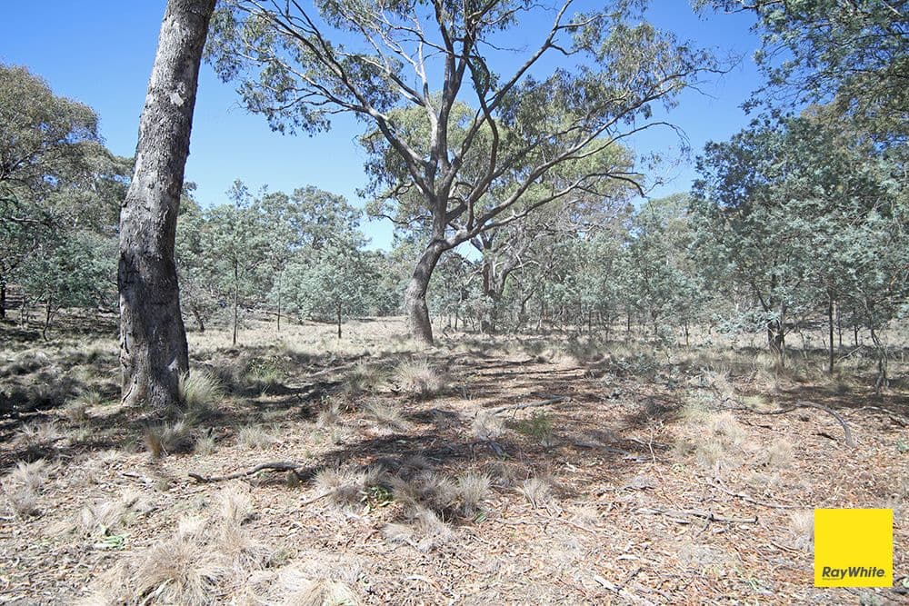 200 Neils Creek Road, Bungendore NSW 2621, Bungendore - Thumbnail 8