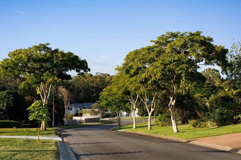 40 Renoir Crescent, Forest Lake - Thumbnail 2