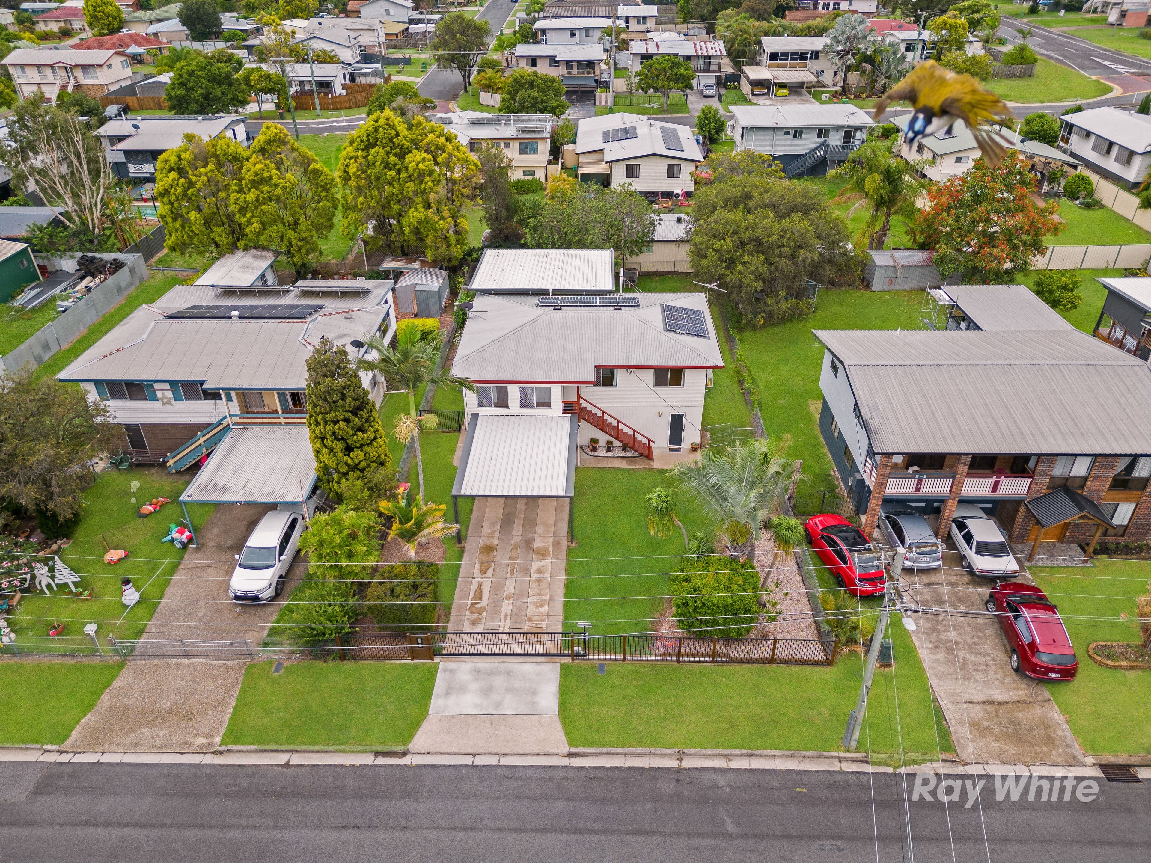 39 Jarrah Street, Raceview QLD 4305, Raceview - Thumbnail 5