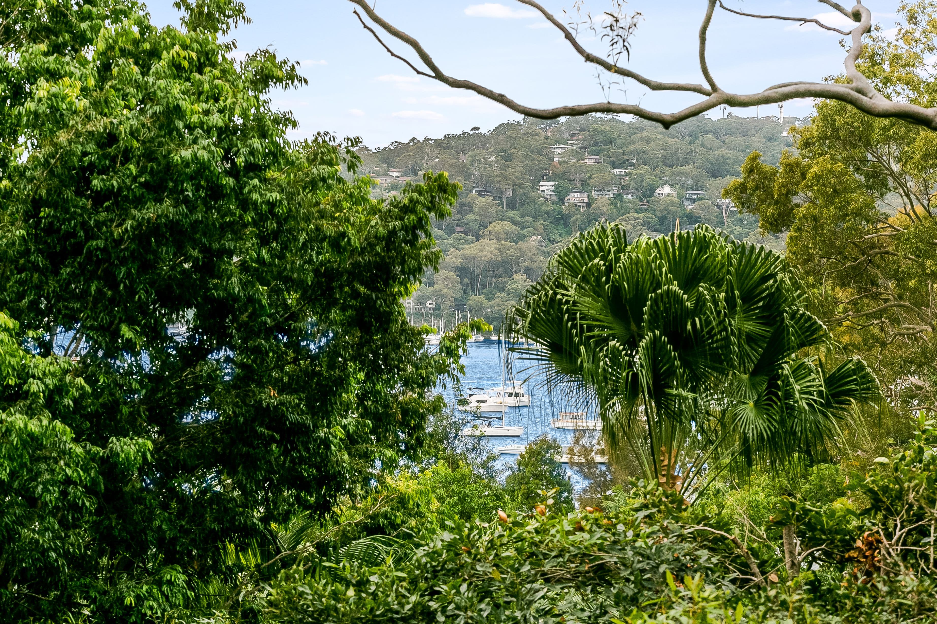 28 Kananook Avenue, Bayview NSW 2104, Bayview - Thumbnail 6
