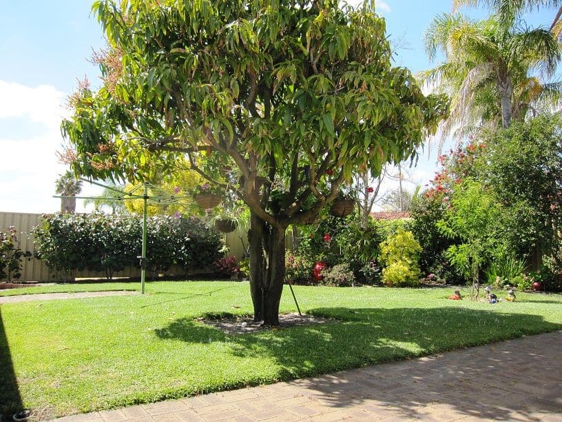 22 Wandoo Road, MORLEY WA 6062, Morley - Thumbnail 3
