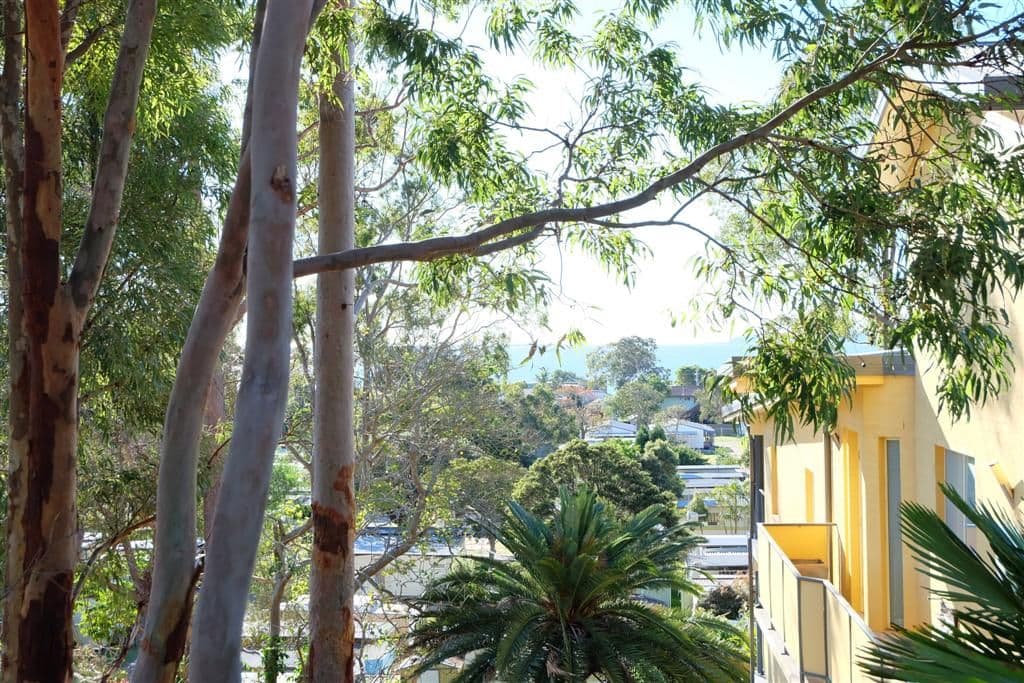 7 Jackson Close, SALAMANDER BAY NSW 2317, Salamander Bay - Thumbnail 6