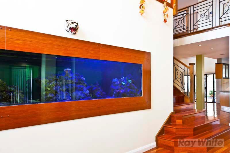 37  Clementina Circuit, CECIL HILLS NSW 2171, Cecil Hills - Thumbnail 2