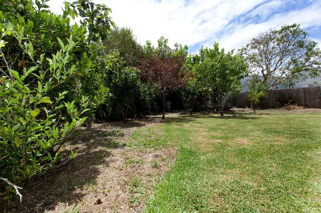 11 Olympia Street, Taree NSW 2430, Taree - Thumbnail 7