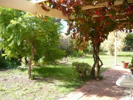 436 Romani Drive, LAVINGTON NSW 2641, Lavington - Thumbnail 8