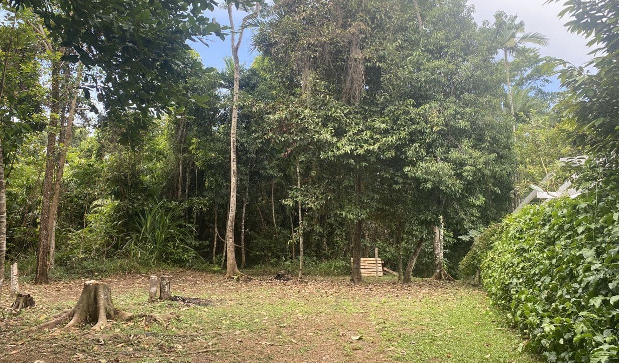 73 Cutten Street, Bingil Bay QLD 4852, Bingil Bay - Image 1