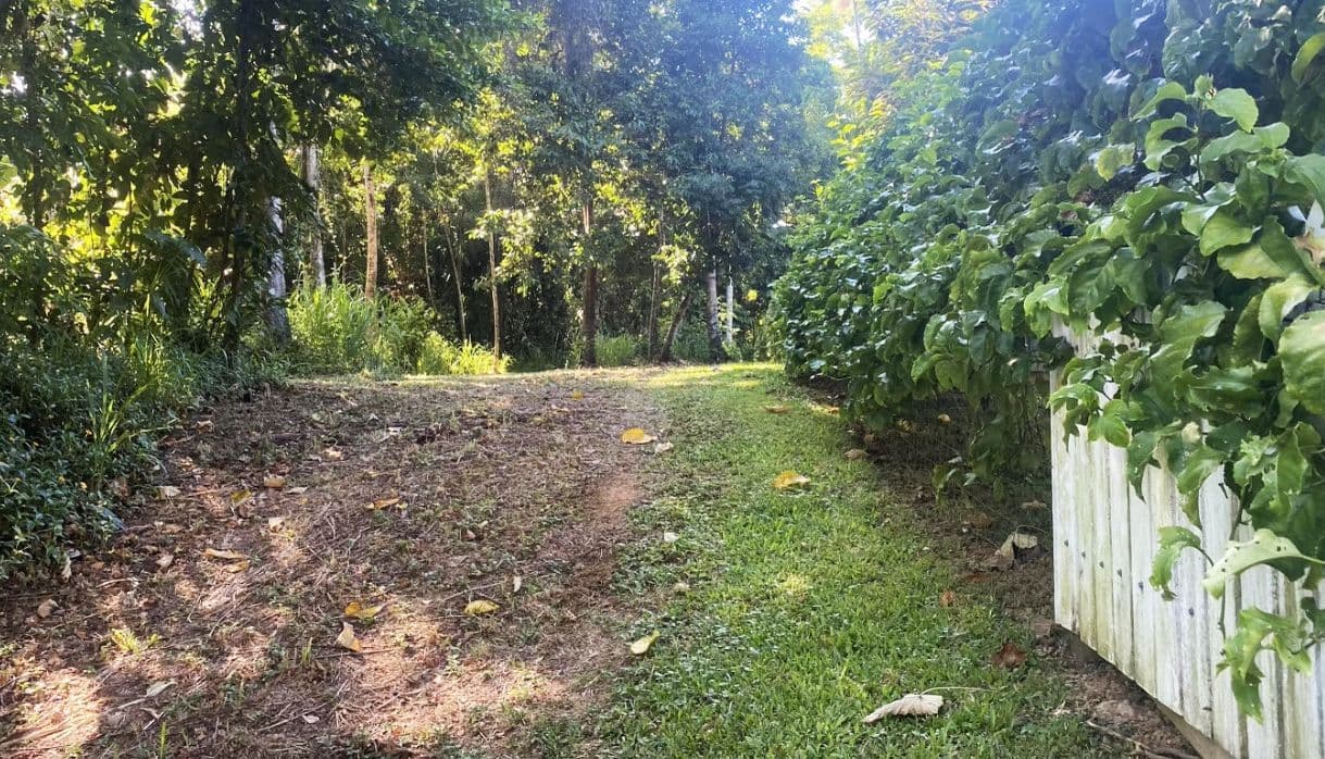73 Cutten Street, Bingil Bay QLD 4852, Bingil Bay - Thumbnail 2