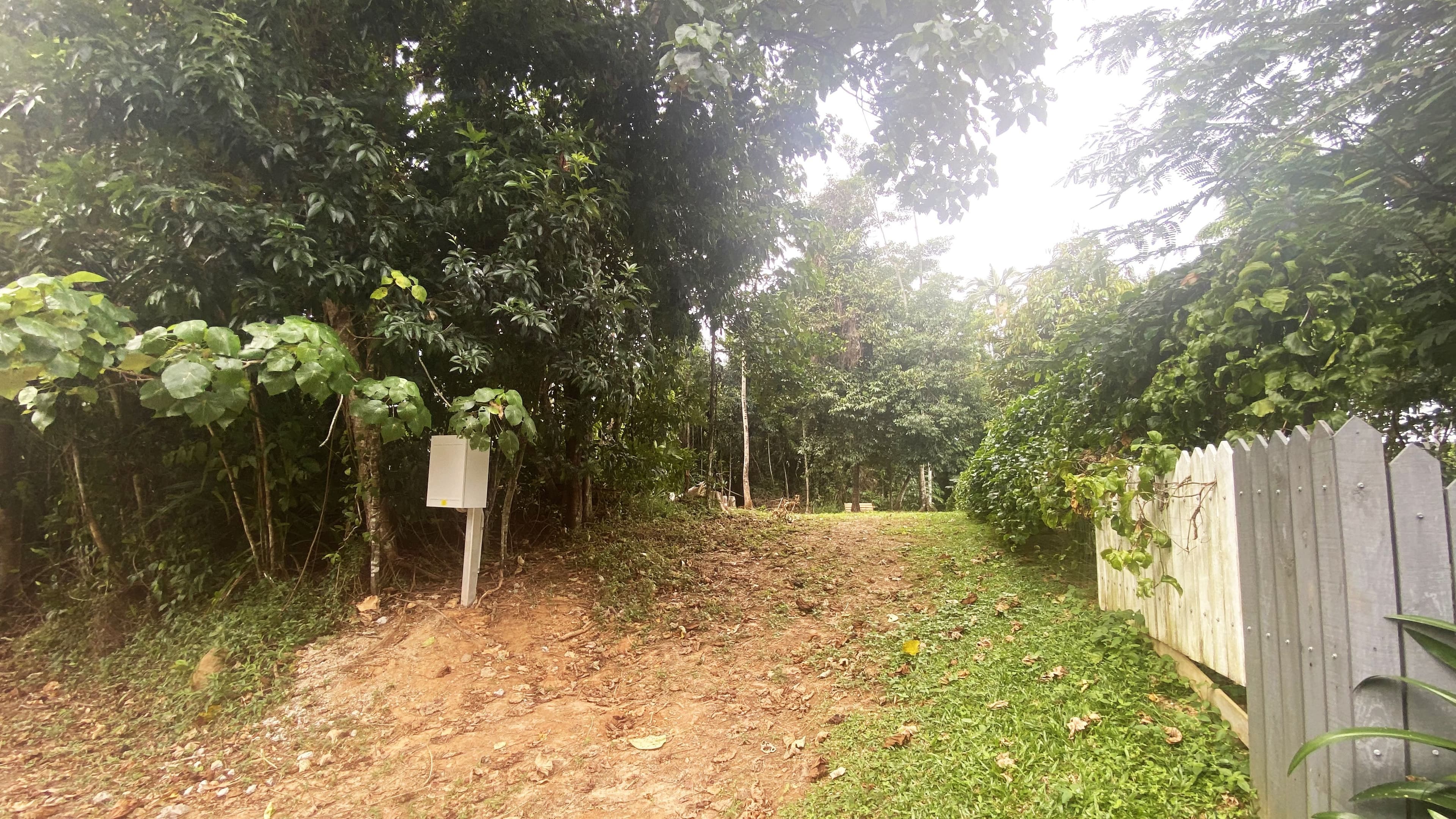 73 Cutten Street, Bingil Bay QLD 4852, Bingil Bay - Thumbnail 6