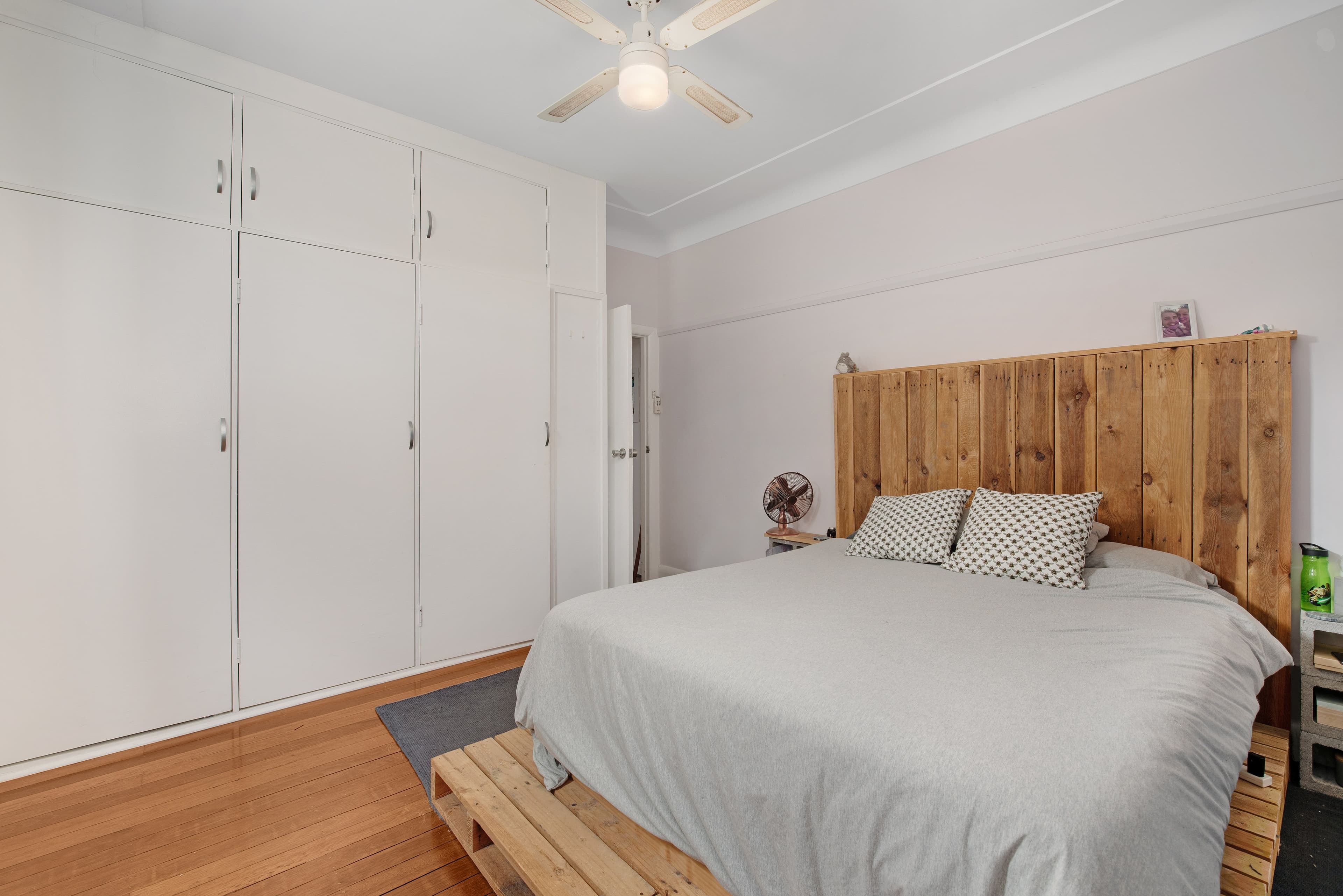 66 Porter Avenue, East Maitland - Thumbnail 4